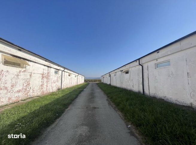 Proprietate industriala de vanzare – 4 hale + birouri + teren genero-7